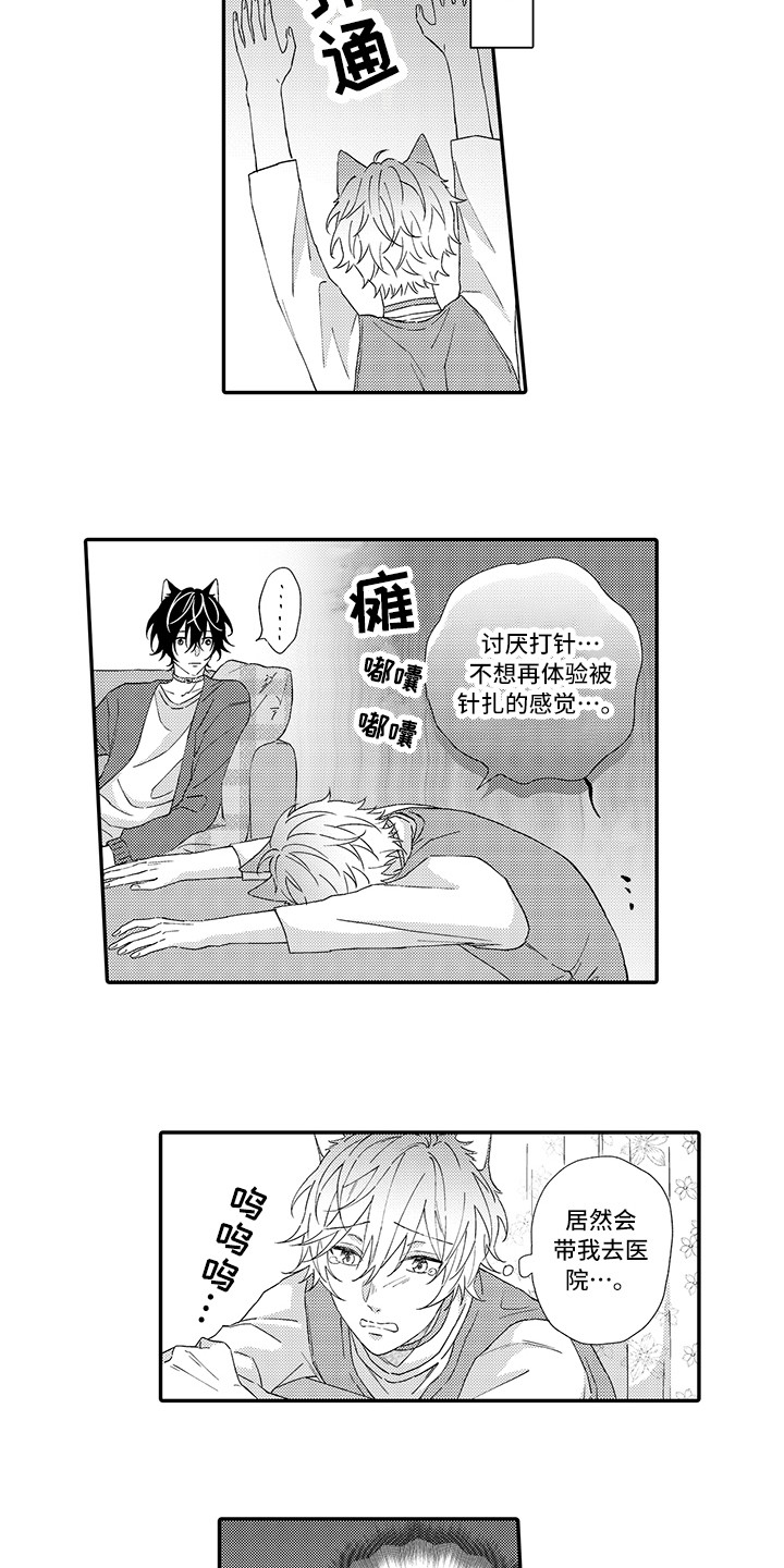 《猫咪之家》第2章好胜心 第10页