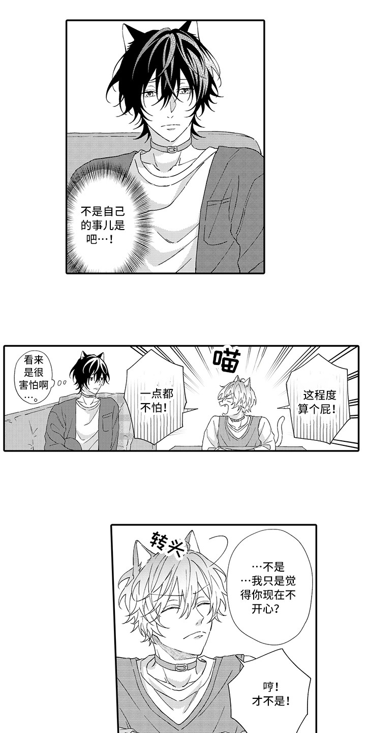 《猫咪之家》第2章好胜心 第12页