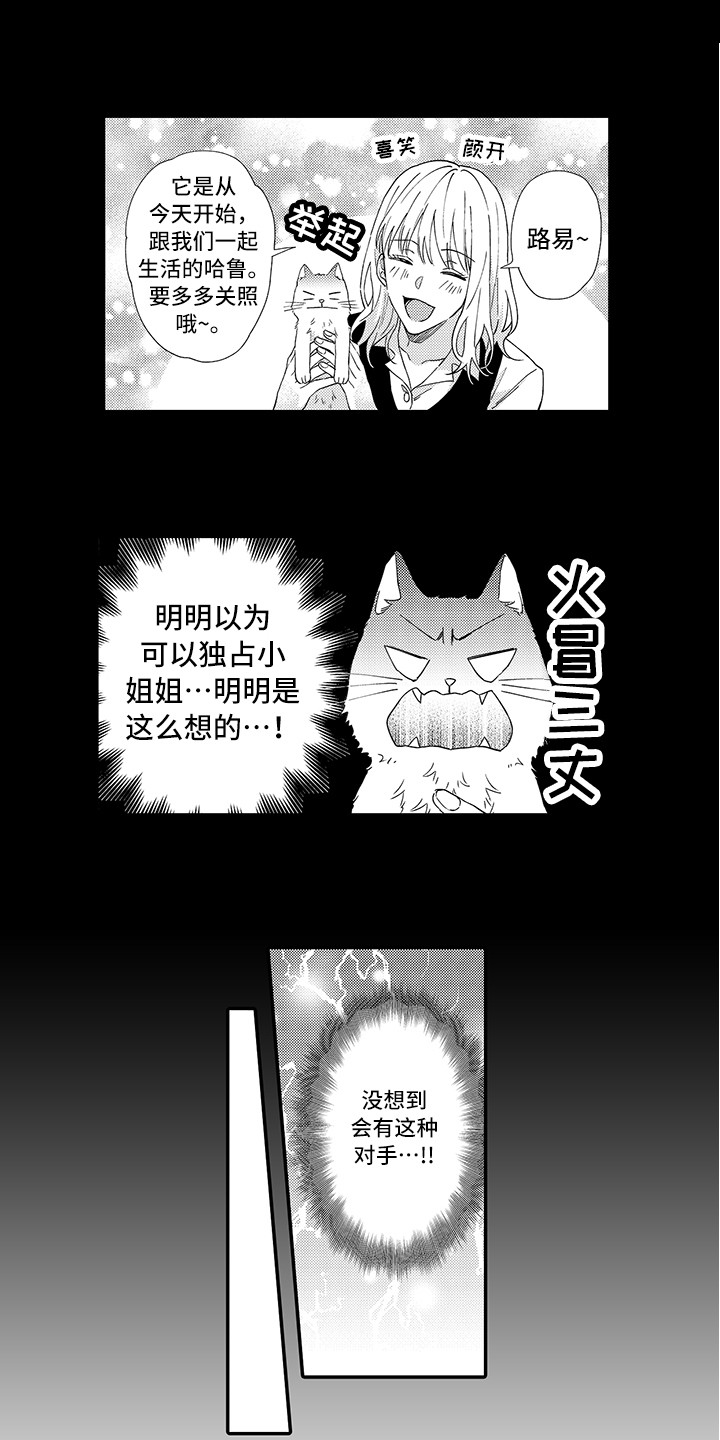 《猫咪之家》第2章好胜心 第1页