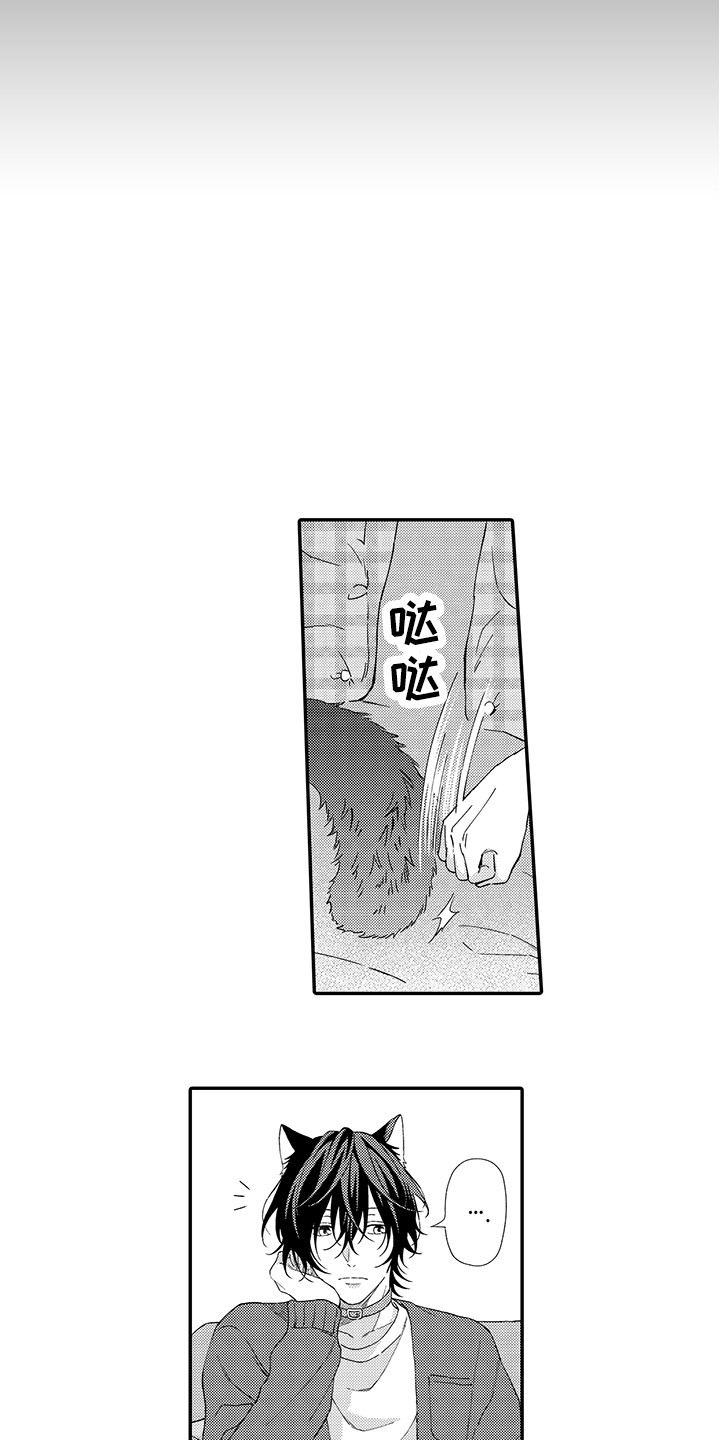 《猫咪之家》第2章好胜心 第2页