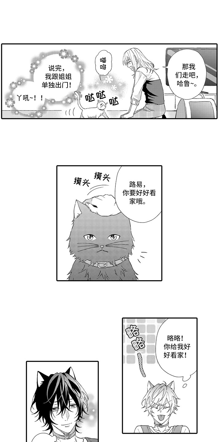 《猫咪之家》第2章好胜心 第8页