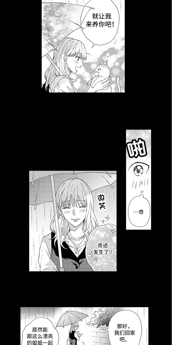 《猫咪之家》第1章两只小猫 第10页
