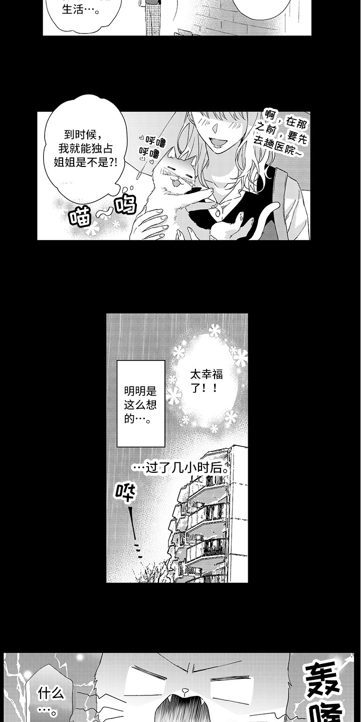 《猫咪之家》第1章两只小猫 第11页