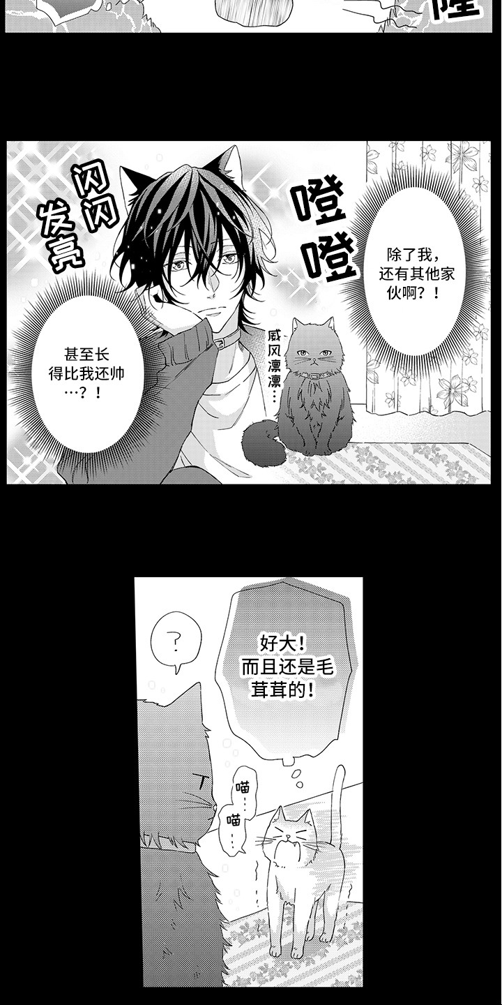 《猫咪之家》第1章两只小猫 第12页