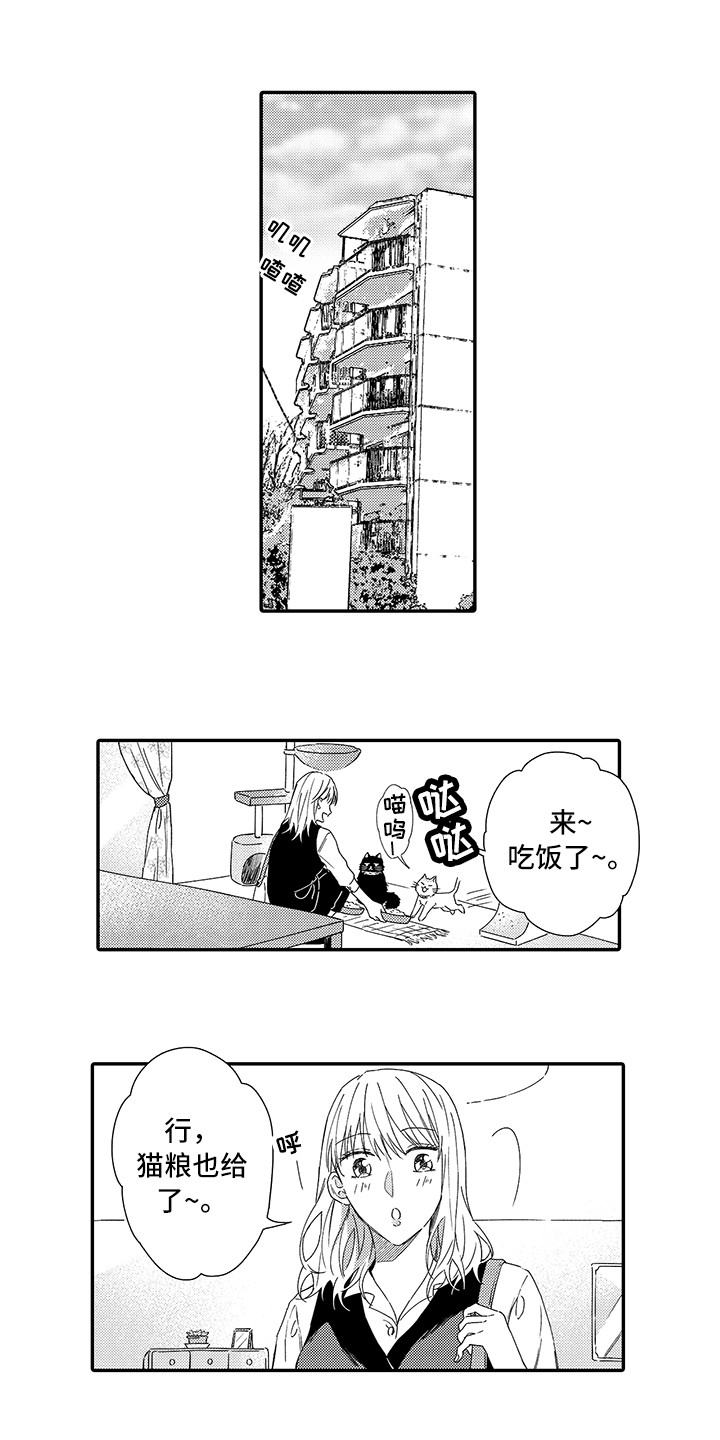 《猫咪之家》第1章两只小猫 第1页