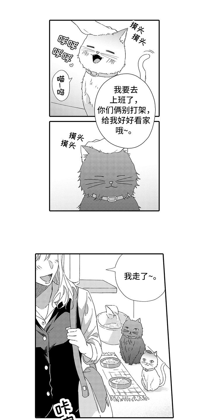 《猫咪之家》第1章两只小猫 第2页