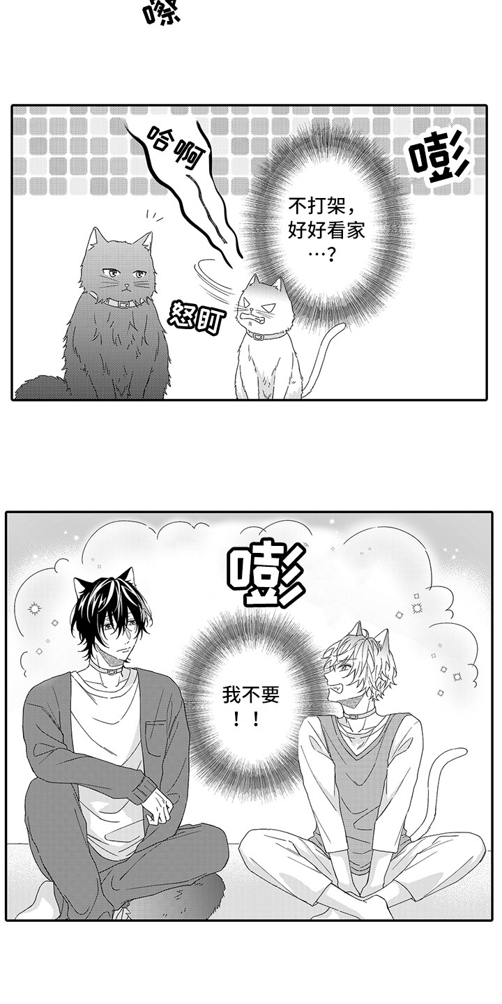 《猫咪之家》第1章两只小猫 第3页