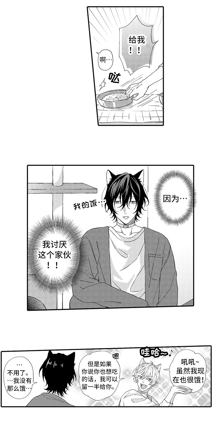 《猫咪之家》第1章两只小猫 第4页