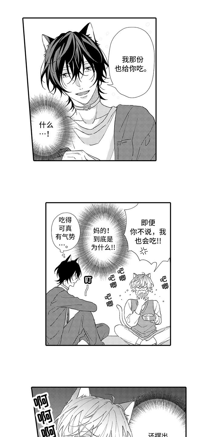 《猫咪之家》第1章两只小猫 第5页