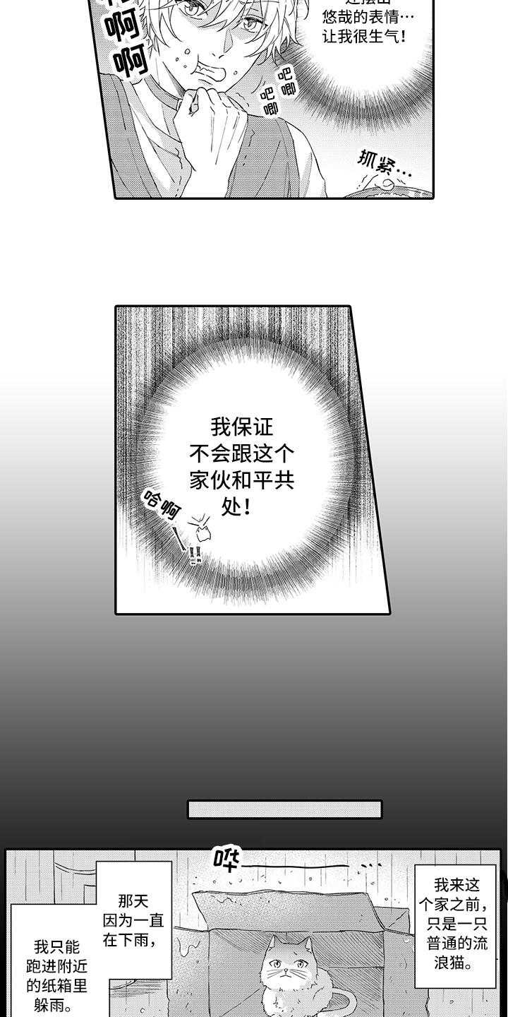 《猫咪之家》第1章两只小猫 第6页
