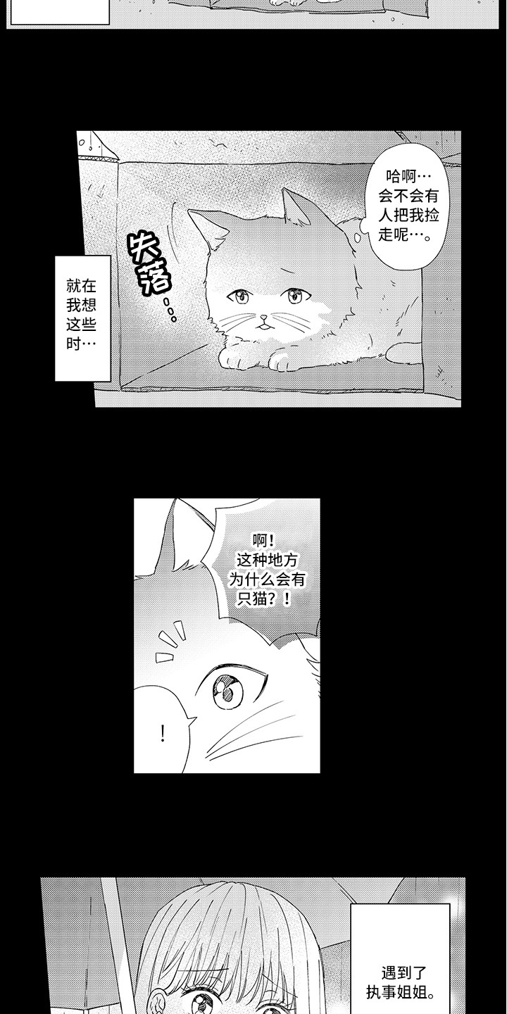 《猫咪之家》第1章两只小猫 第7页