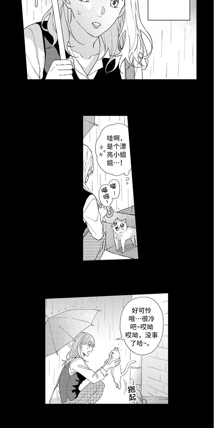 《猫咪之家》第1章两只小猫 第8页