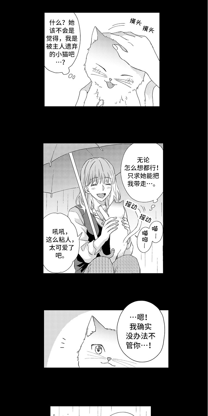 《猫咪之家》第1章两只小猫 第9页