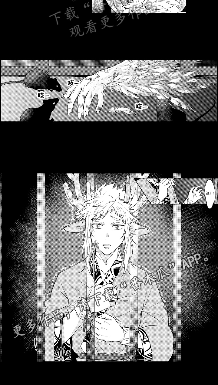 《白色的野兽》第18章不舍 第7页