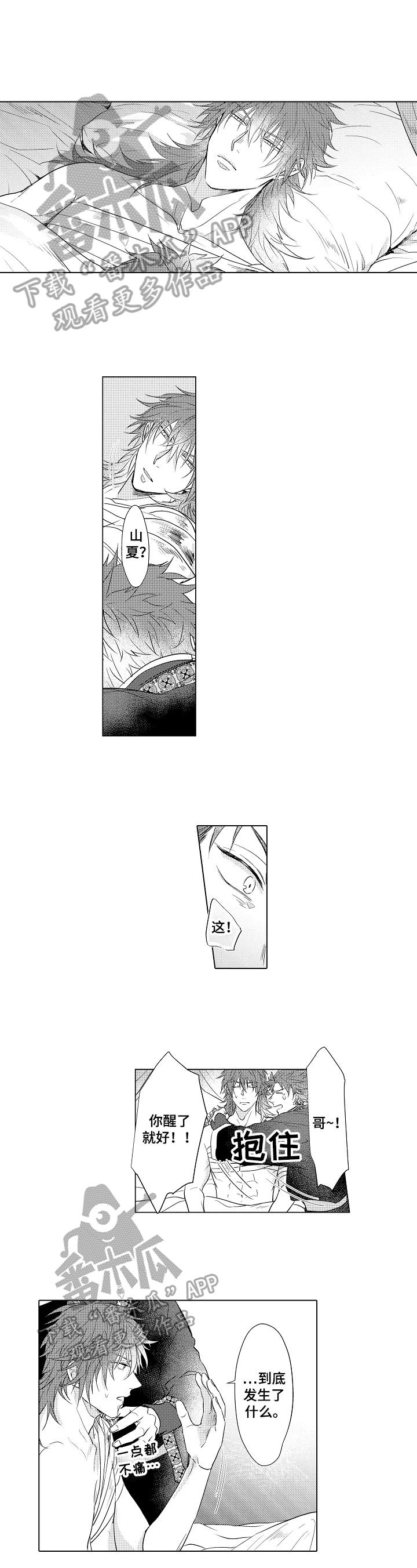 《白色的野兽》第14章观察 第2页