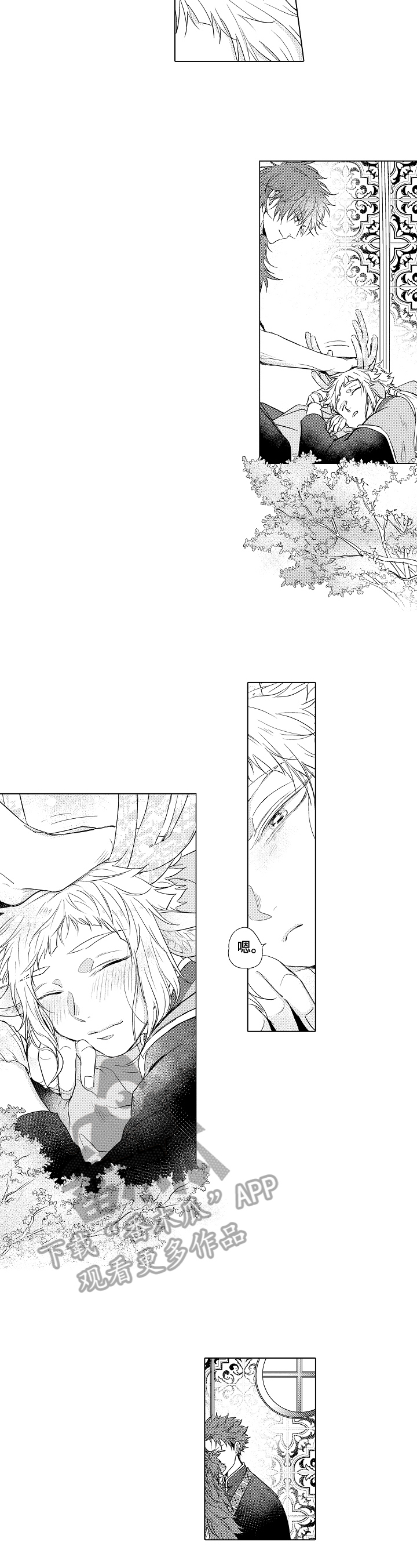 《白色的野兽》第14章观察 第4页