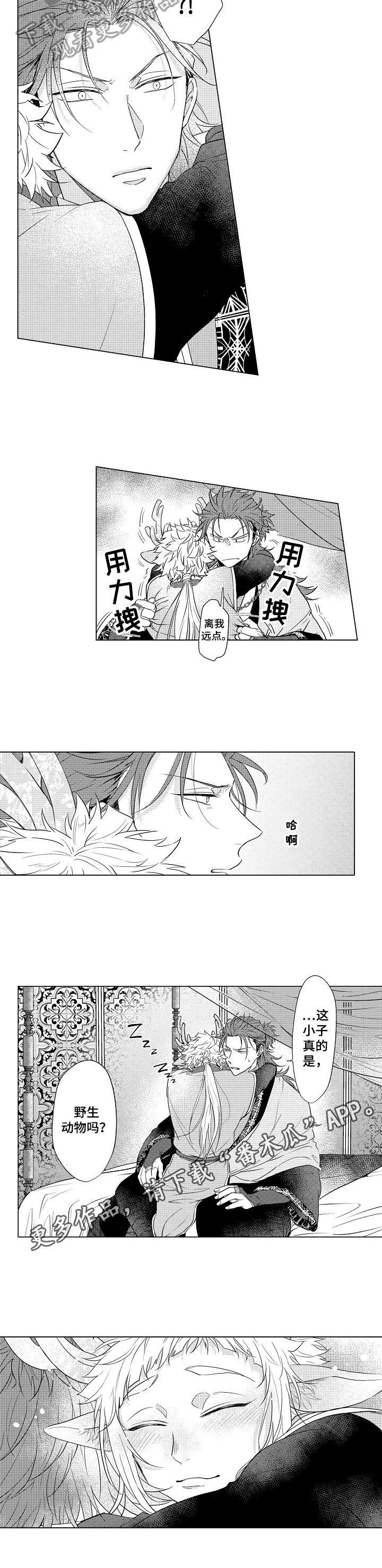 《白色的野兽》第9章睡眠 第6页