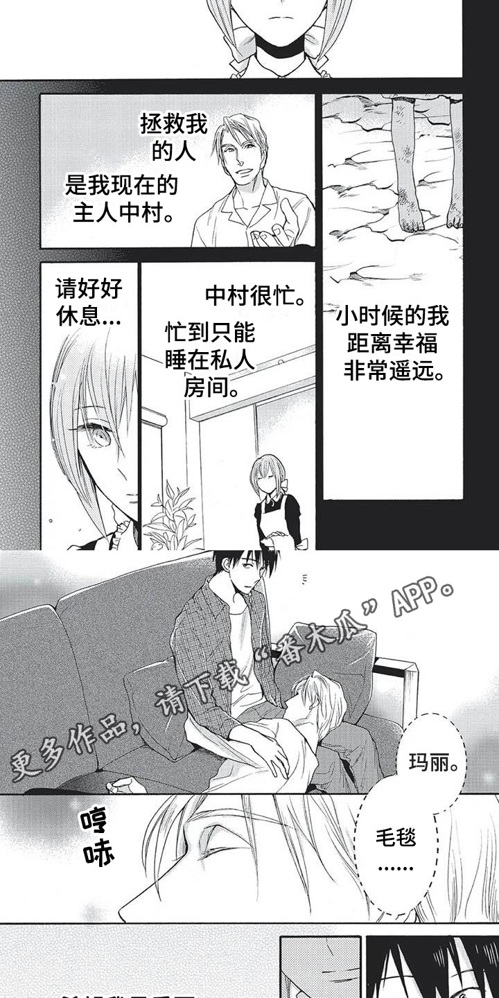 《间谍之变》第28章永远幸福（完） 第8页