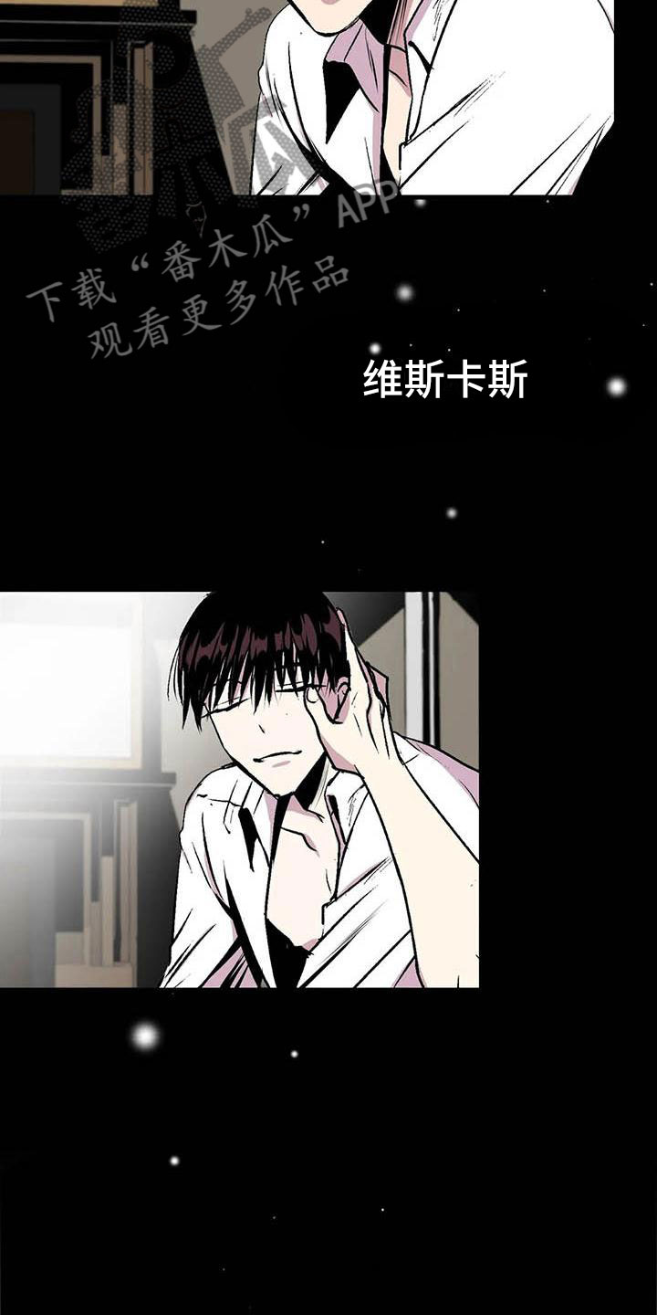 《第五种威士忌》第11章荒唐的真相 第9页