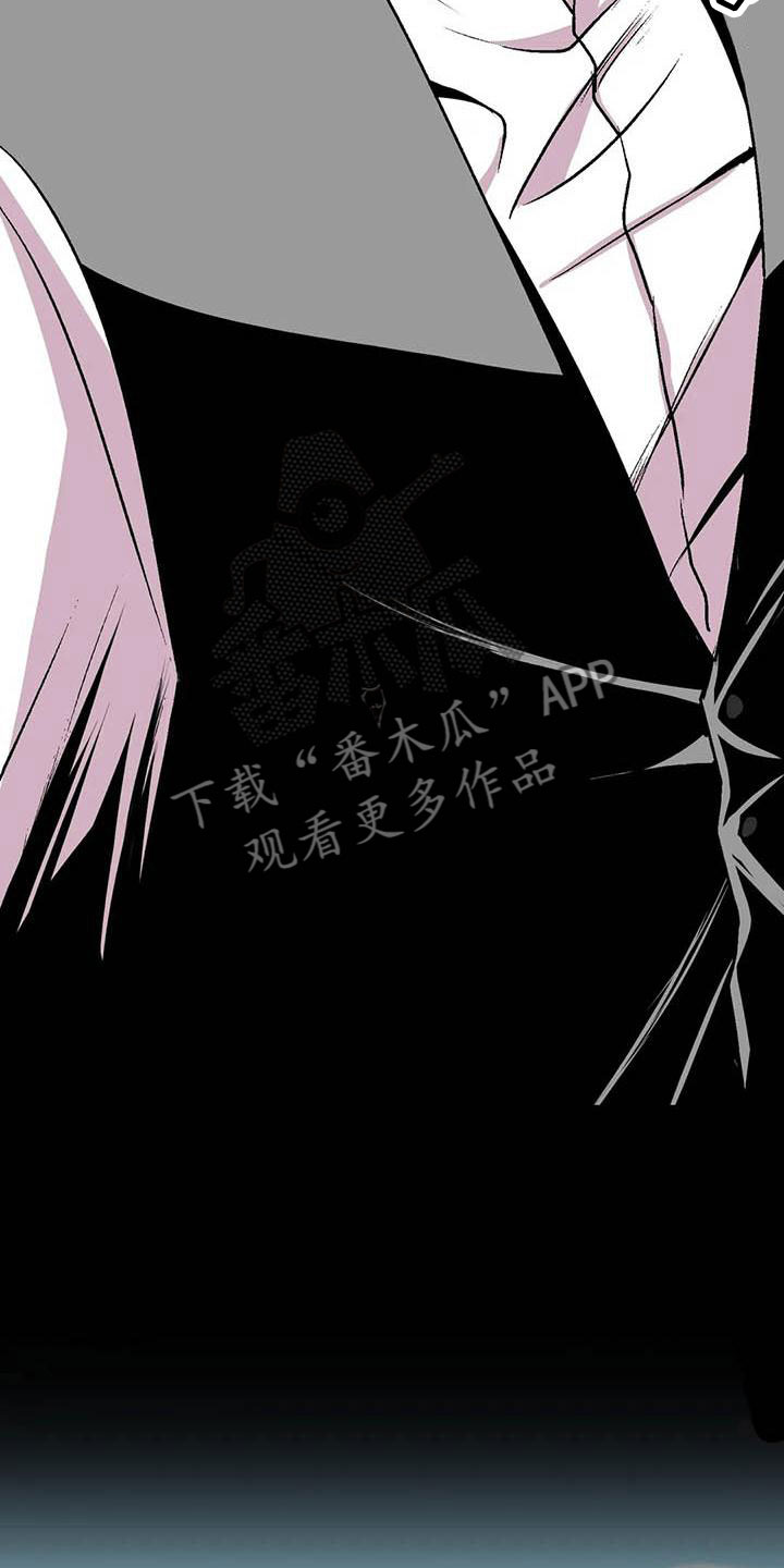 《第五种威士忌》第12章我爱你 第11页