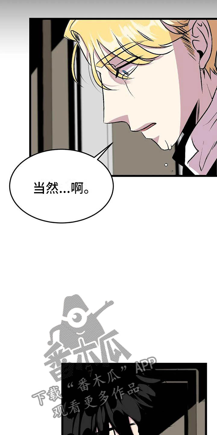 《第五种威士忌》第12章我爱你 第17页