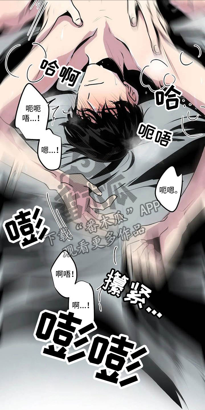 《第五种威士忌》第7章他在看着 第11页