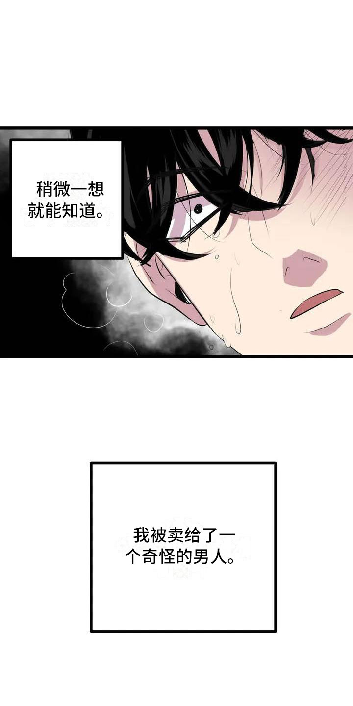 《第五种威士忌》第3章噩梦 第12页
