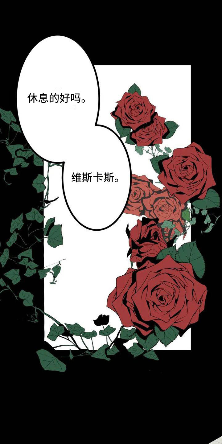 《第五种威士忌》第1章开幕 第1页