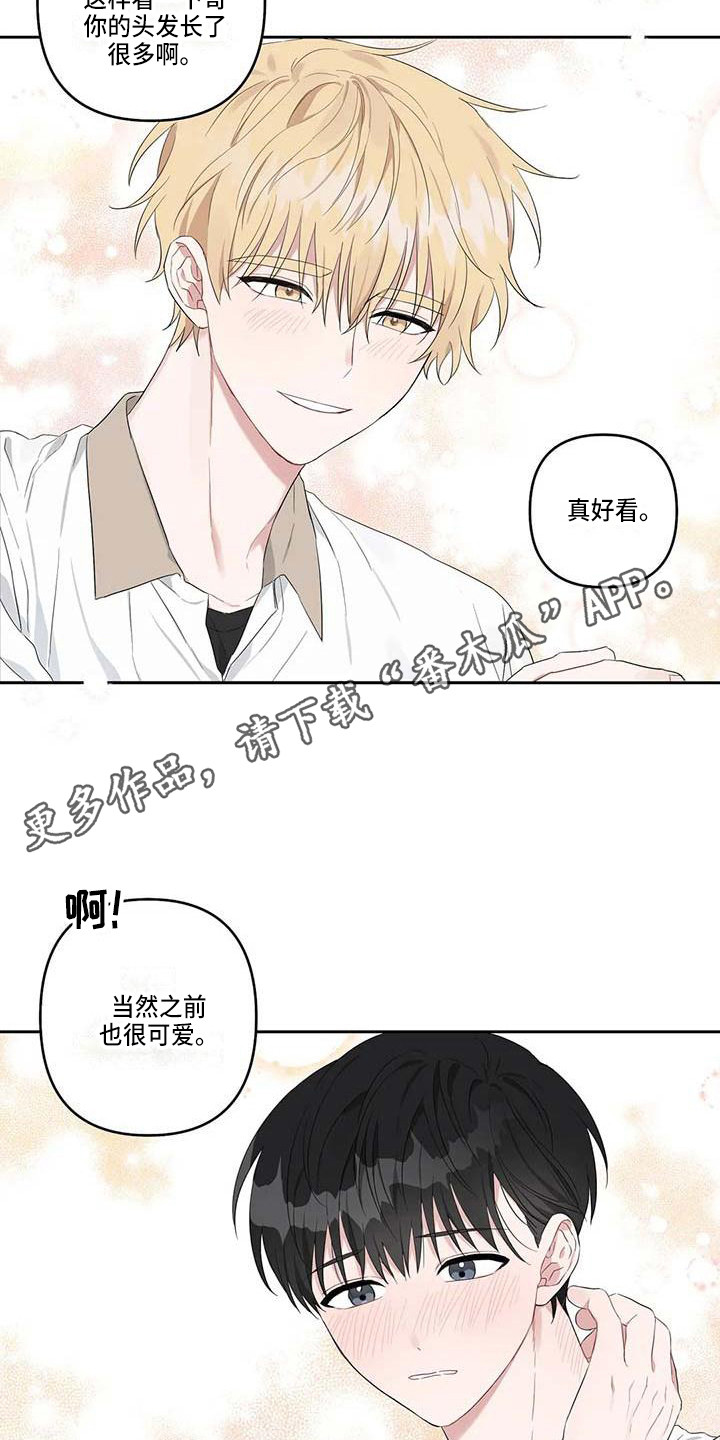 《运势当头》第28章还算顺利 第11页