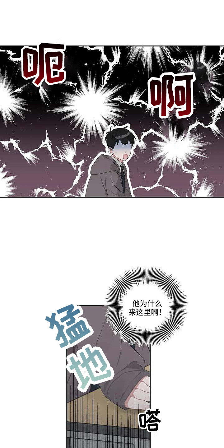《运势当头》第8章联系方式 第10页