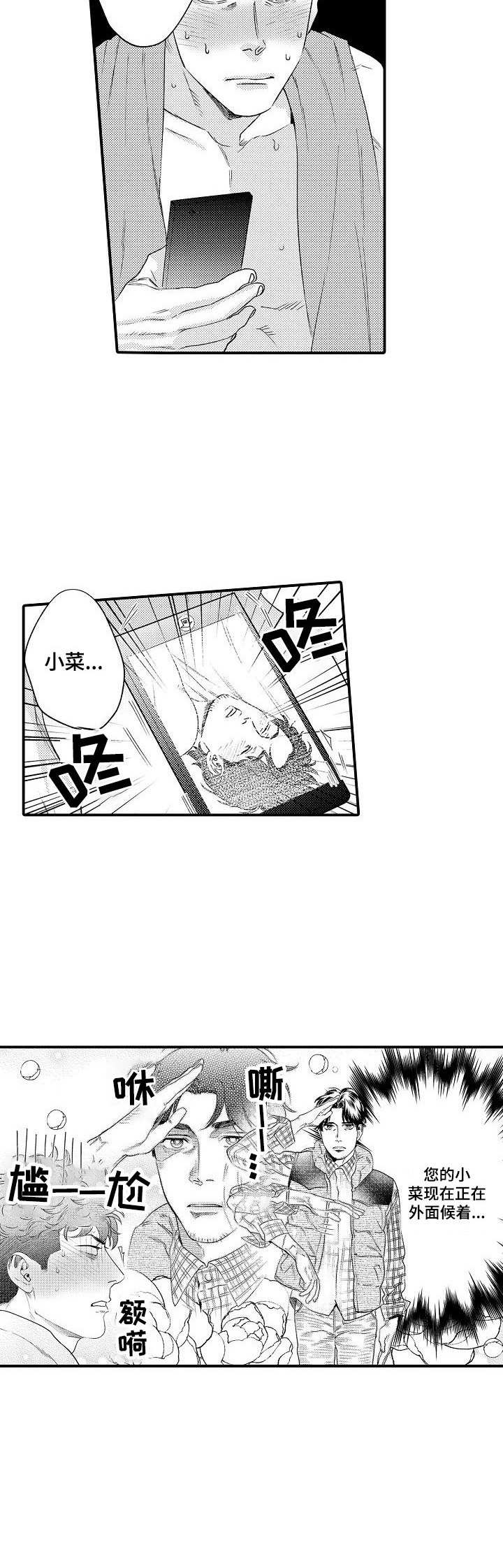 《专属警官》第28章缓解 第12页