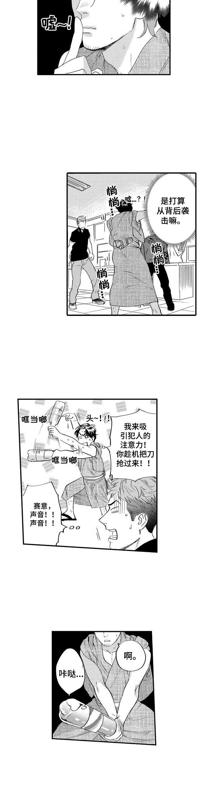 《专属警官》第17章保护 第2页