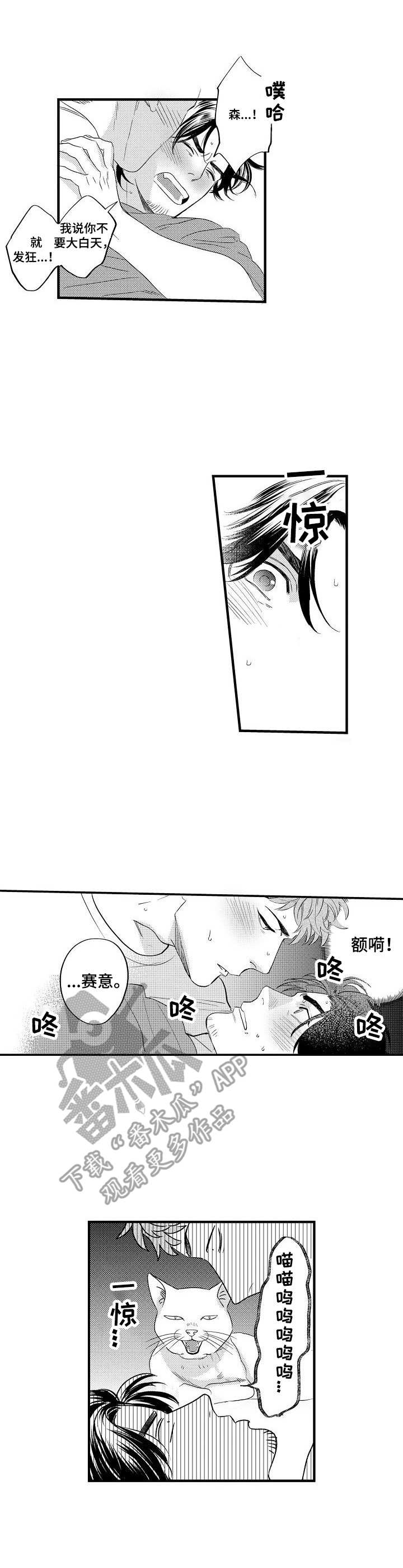《专属警官》第9章被妨碍 第10页