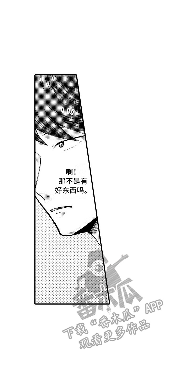 《垃圾场的玫瑰》第16章道具 第8页