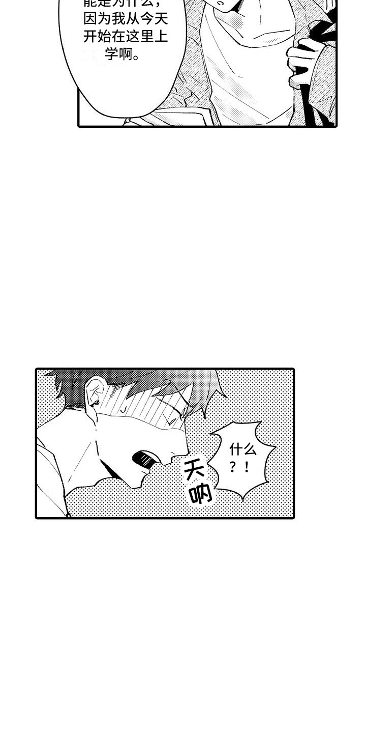 《垃圾场的玫瑰》第4章帮手社团 第9页