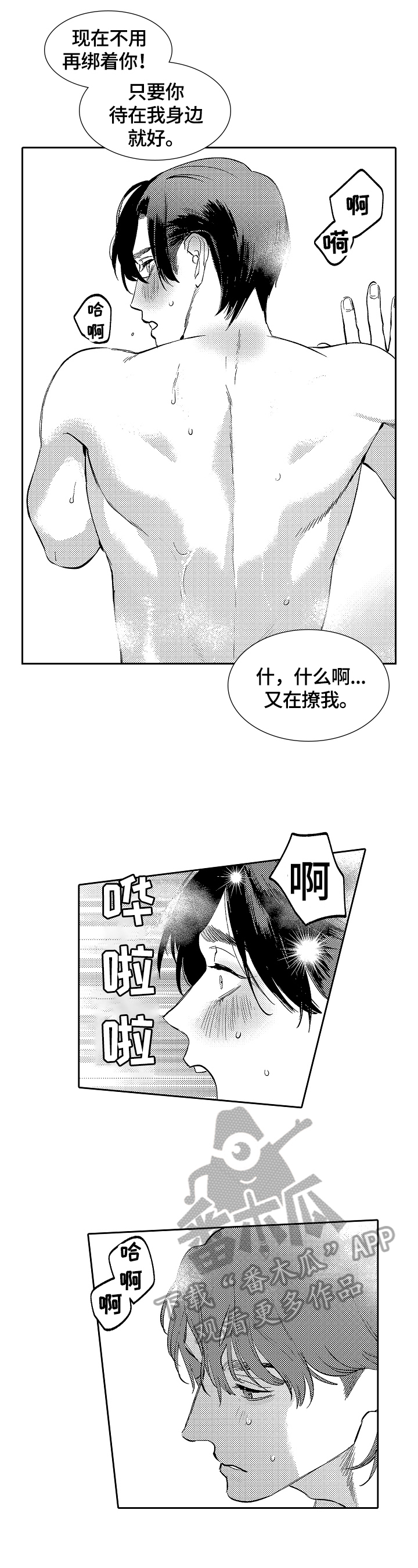 《捆绑上级》第24章各自的路（完结） 第3页