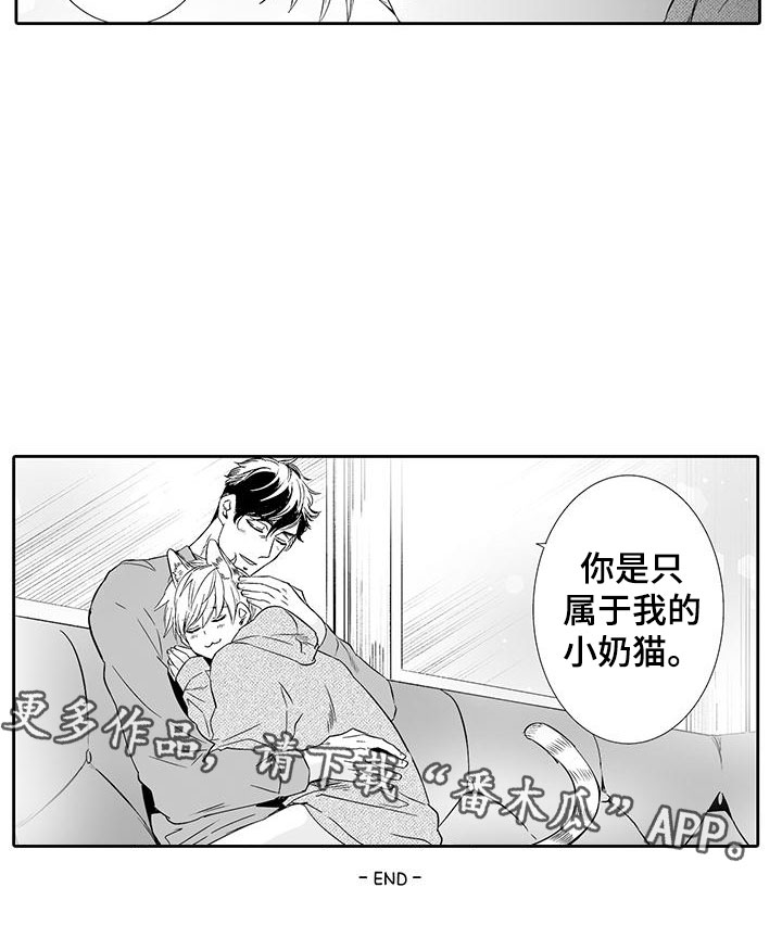 《我的小奶猫》第23章只属于我 第14页