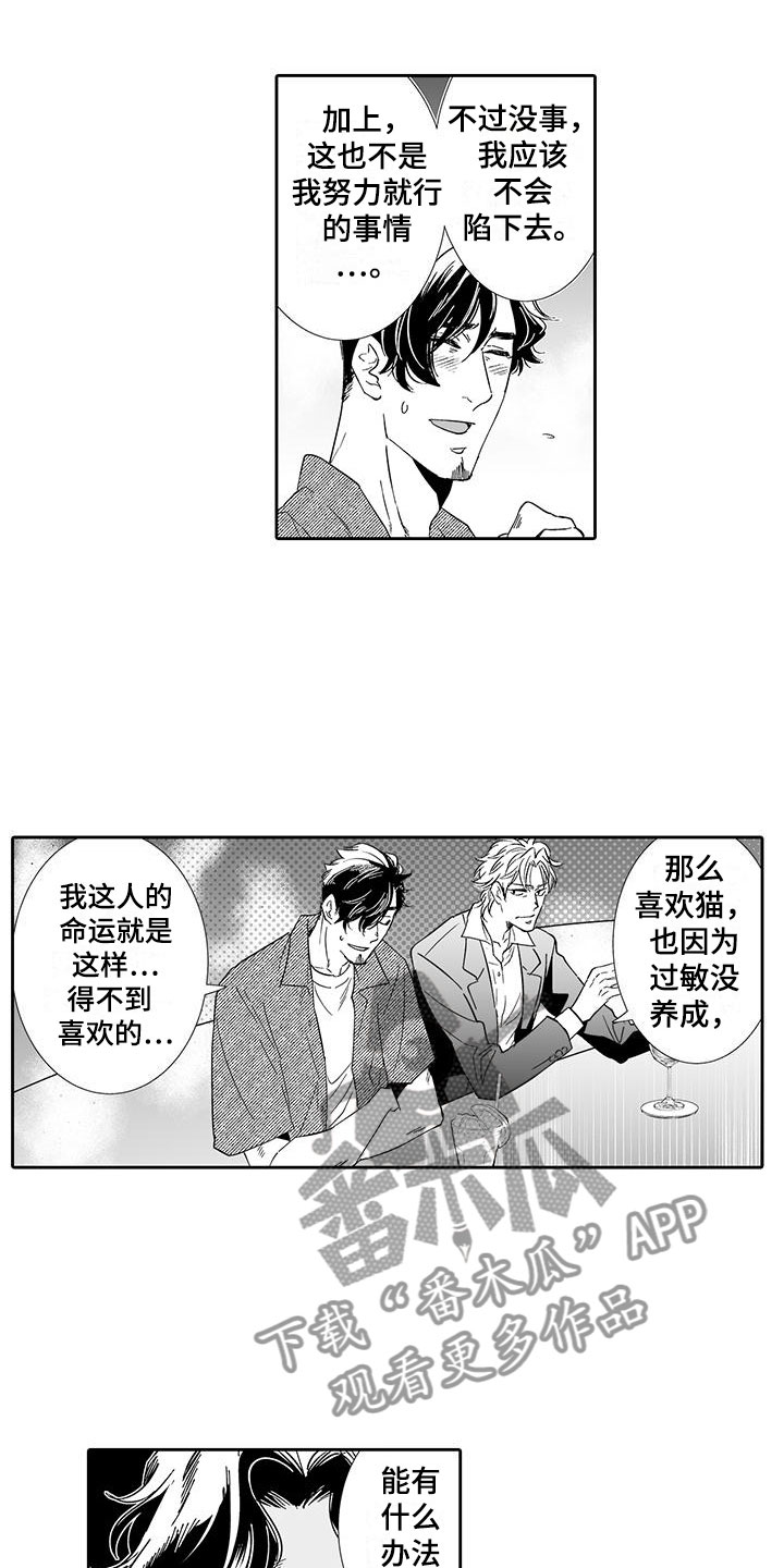 《我的小奶猫》第19章动真心 第8页