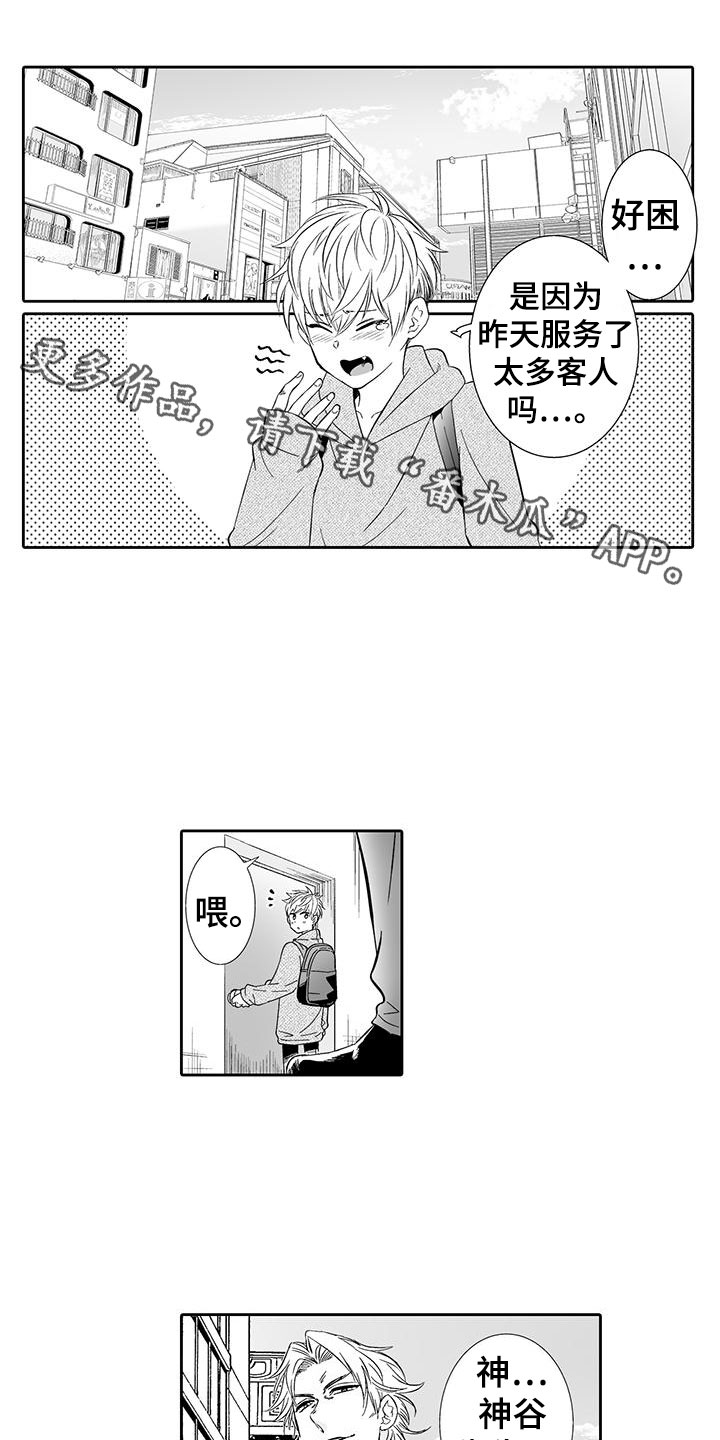 《我的小奶猫》第20章噩梦 第1页