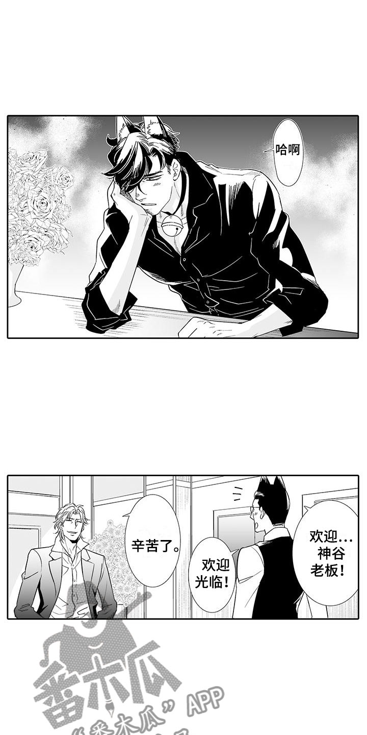 《我的小奶猫》第18章背道而驰 第13页