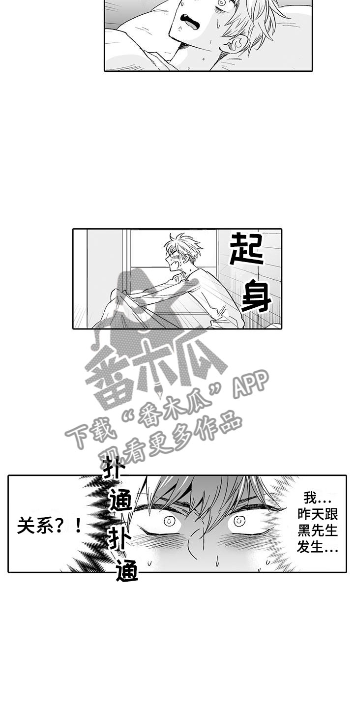 《我的小奶猫》第15章难道是梦？ 第11页