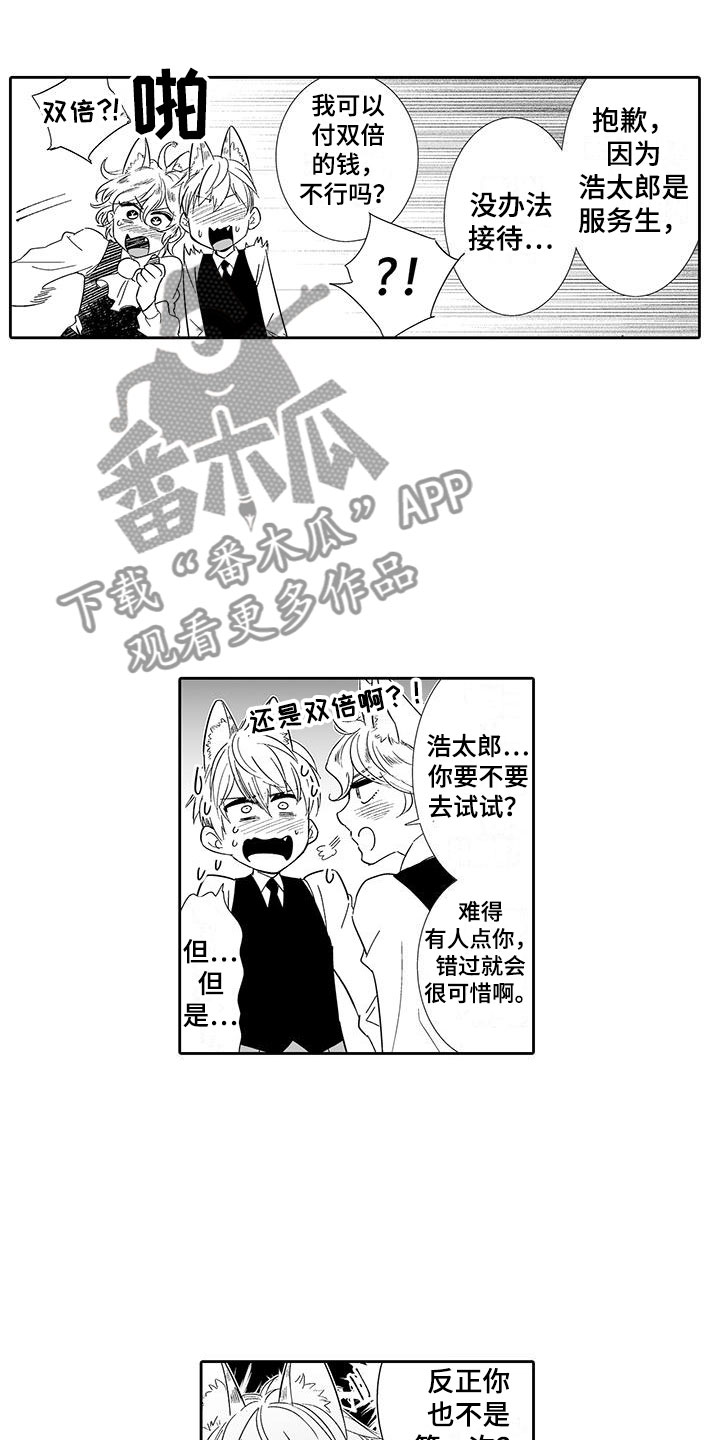 《我的小奶猫》第17章指名 第1页