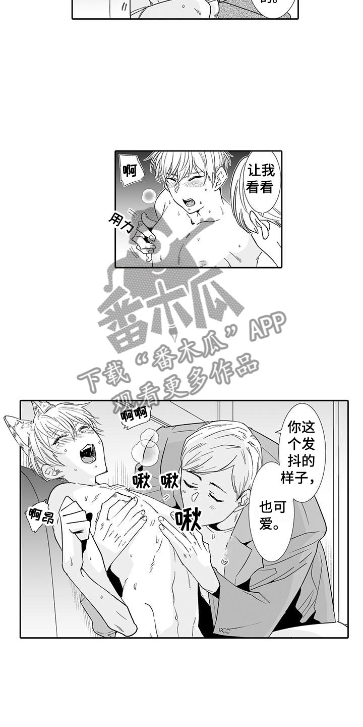 《我的小奶猫》第17章指名 第7页