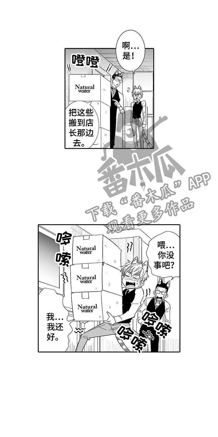 《我的小奶猫》第16章态度大变 第9页