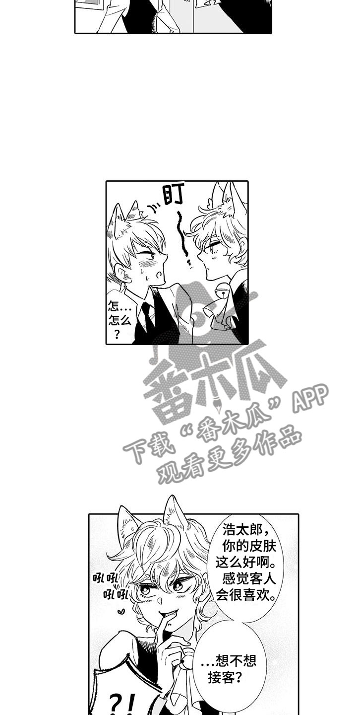 《我的小奶猫》第12章想接待吗？ 第12页
