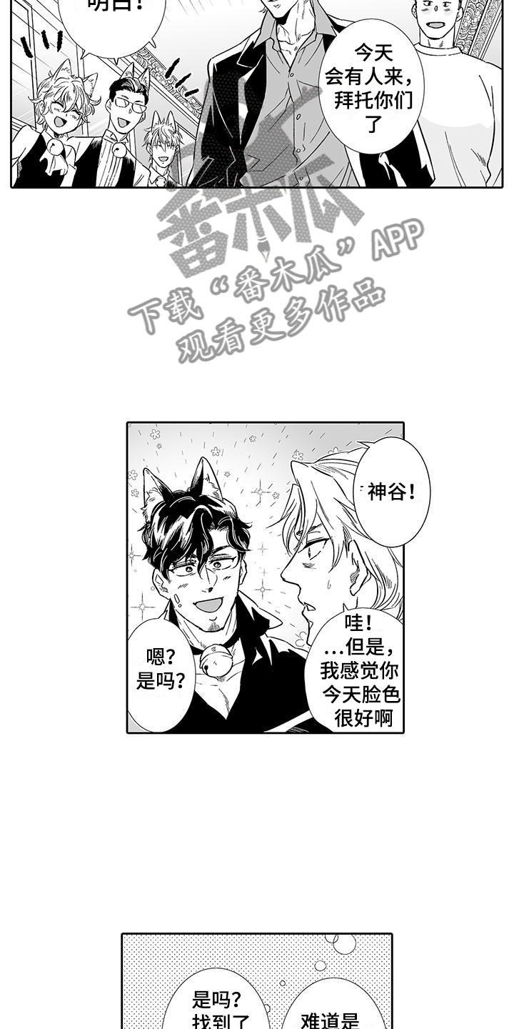 《我的小奶猫》第12章想接待吗？ 第9页