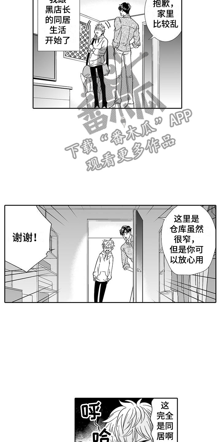 《我的小奶猫》第9章去我家吧 第4页