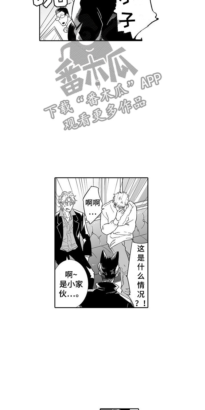 《我的小奶猫》第13章请教我 第4页
