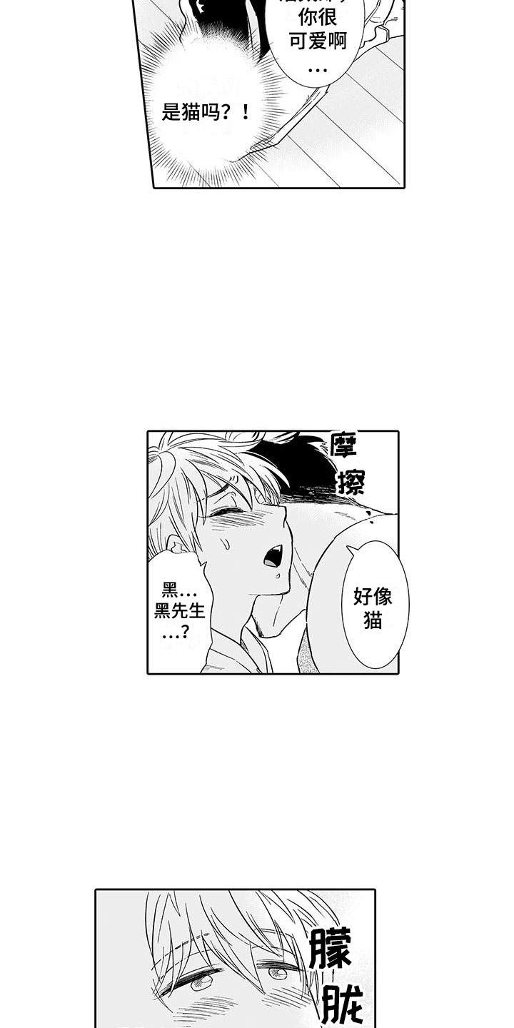 《我的小奶猫》第10章醉了 第6页