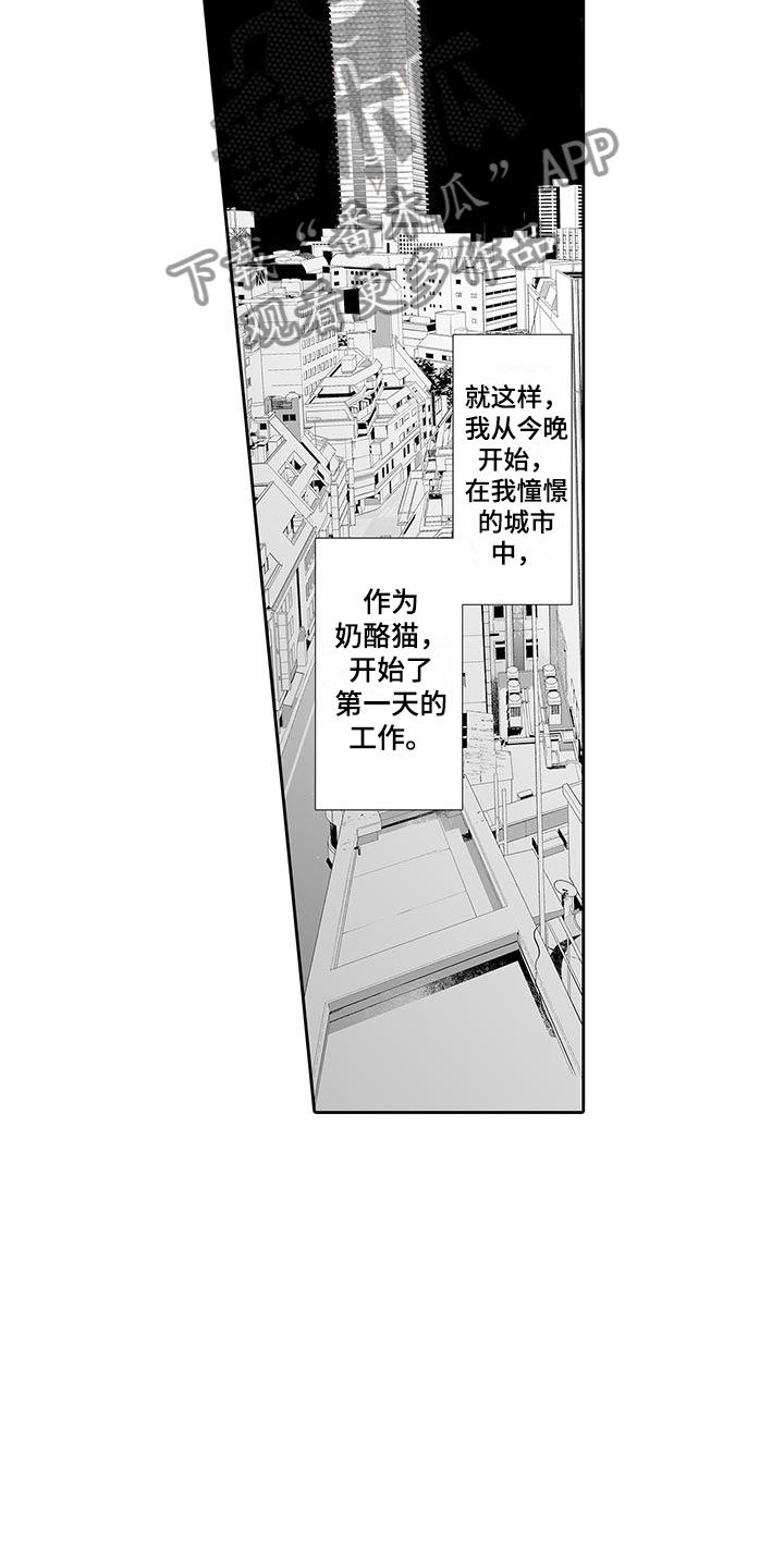 《我的小奶猫》第6章奶酪猫 第10页